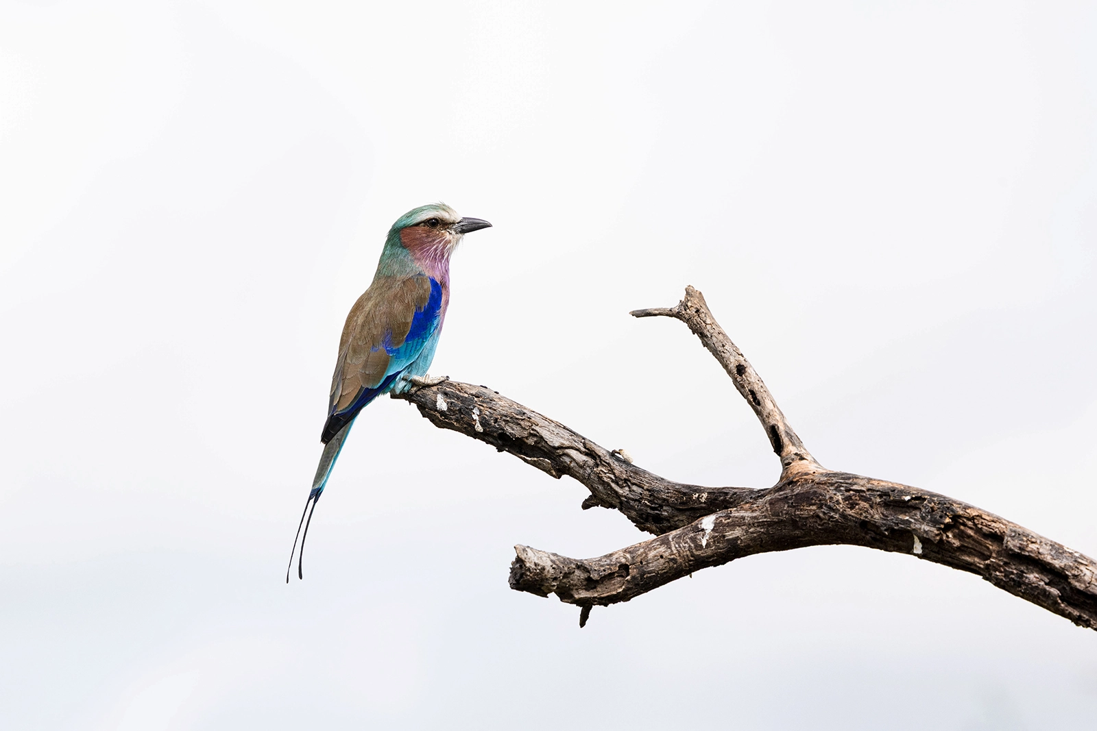 Que llevar en un viaje a un país tropical